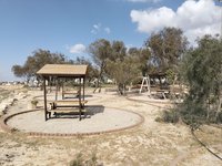 IMG_20260504_162231.jpg
