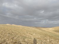 IMG_20260505_070402.jpg
