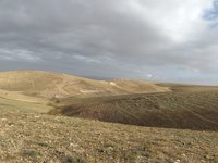 IMG_20260505_070408.jpg