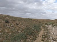 IMG_20260505_071540.jpg