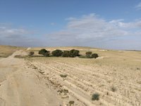 IMG_20260505_075851.jpg
