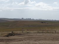IMG_20260505_082207.jpg