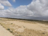 IMG_20260505_083257.jpg