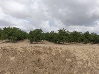 IMG_20260505_084338.jpg