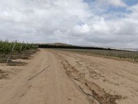 IMG_20260505_093904.jpg