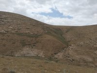 IMG_20260505_135551.jpg