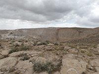 IMG_20260505_145514.jpg