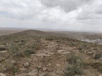 IMG_20260505_150454.jpg
