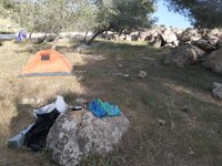 IMG_20260505_172250.jpg