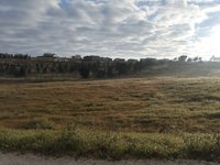 IMG_20260506_064648.jpg
