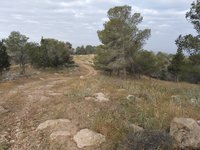 IMG_20260506_071259.jpg