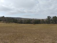 IMG_20260506_073904.jpg