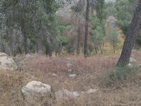 IMG_20260506_093942.jpg
