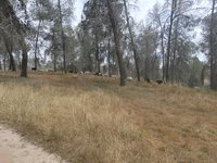 IMG_20260506_095451.jpg