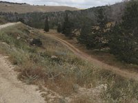IMG_20260506_104637.jpg