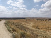 IMG_20260506_144915.jpg