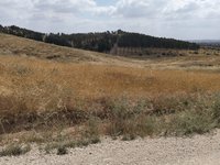 IMG_20260506_145757.jpg