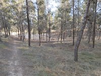 IMG_20260507_073656.jpg
