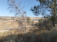 IMG_20260507_080727.jpg