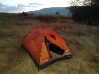 IMG_20260616_050959.jpg