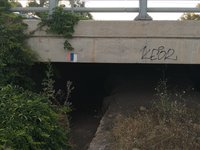 IMG_20260616_060646.jpg
