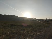 IMG_20260616_061236.jpg