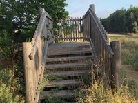 IMG_20260616_062021.jpg
