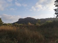 IMG_20260616_062027.jpg