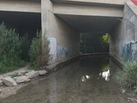 IMG_20260616_062841.jpg