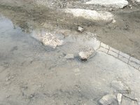 IMG_20260616_062850.jpg