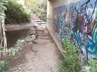 IMG_20260616_062923.jpg
