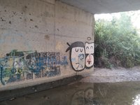 IMG_20260616_062940.jpg