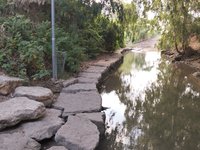 IMG_20260616_063000.jpg