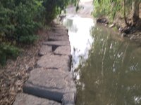 IMG_20260616_063125.jpg