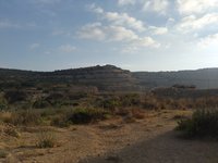 IMG_20260616_064518.jpg