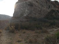 IMG_20260616_064550.jpg
