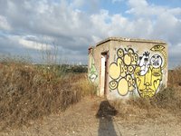IMG_20260616_065018.jpg