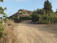 IMG_20260616_065422.jpg