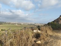 IMG_20260616_065436.jpg