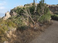 IMG_20260616_065621.jpg