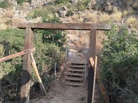 IMG_20260616_065824.jpg