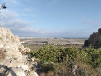 IMG_20260616_070849.jpg