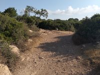 IMG_20260616_074227.jpg