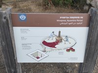 IMG_20260616_074653.jpg