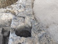 IMG_20260616_074737.jpg