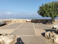 IMG_20260616_074826.jpg