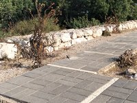 IMG_20260616_074957.jpg