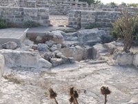 IMG_20260616_075018.jpg