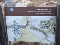 IMG_20260616_075045.jpg