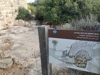 IMG_20260616_075610.jpg